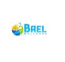 Bael Wellness logo